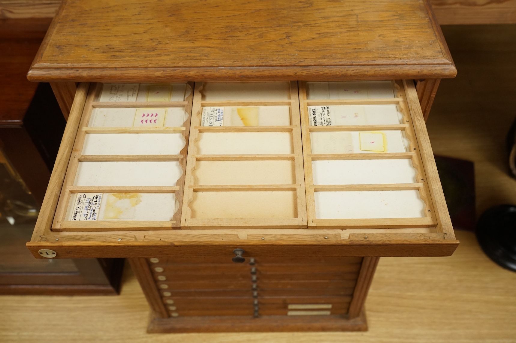 An early 20th century oak and plywood microscope slide cabinet, comprising of 20 drawers with ivorine numbers, containing slide holders and samples on slides from Orpington Hospital, dimensions; 55cm high, 37cm wide, 24.